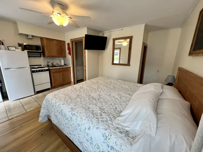 King bed room with kitchenette - additional view